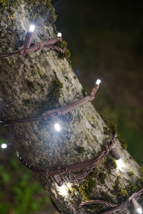 Year-Round Tree Lighting That Won’t Choke Your Trunks