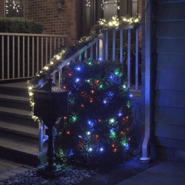 Themed Mini Lights - The Rockefeller (25 ft)