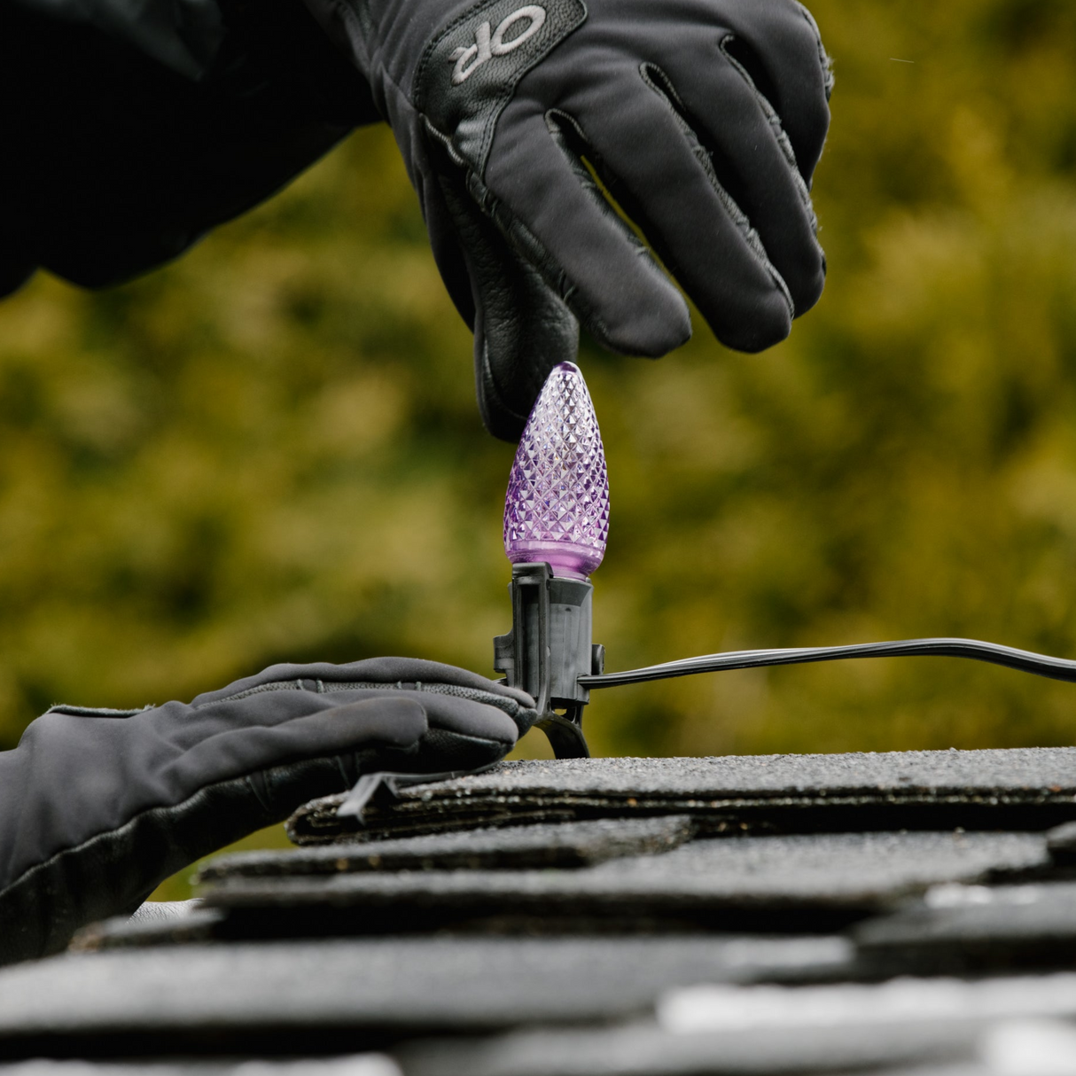 C9 Bulbs (Pack of 25)