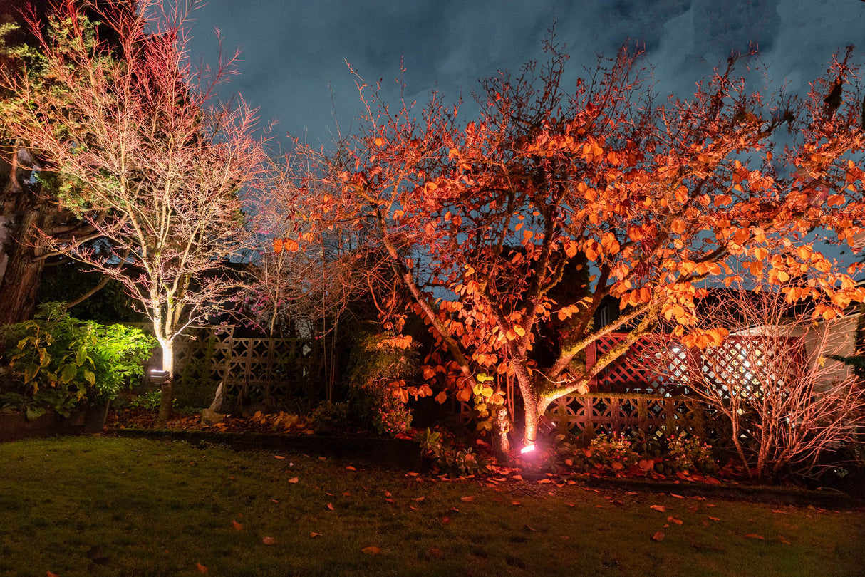 Chromaglow Pro RGBW Floodlight with Strap