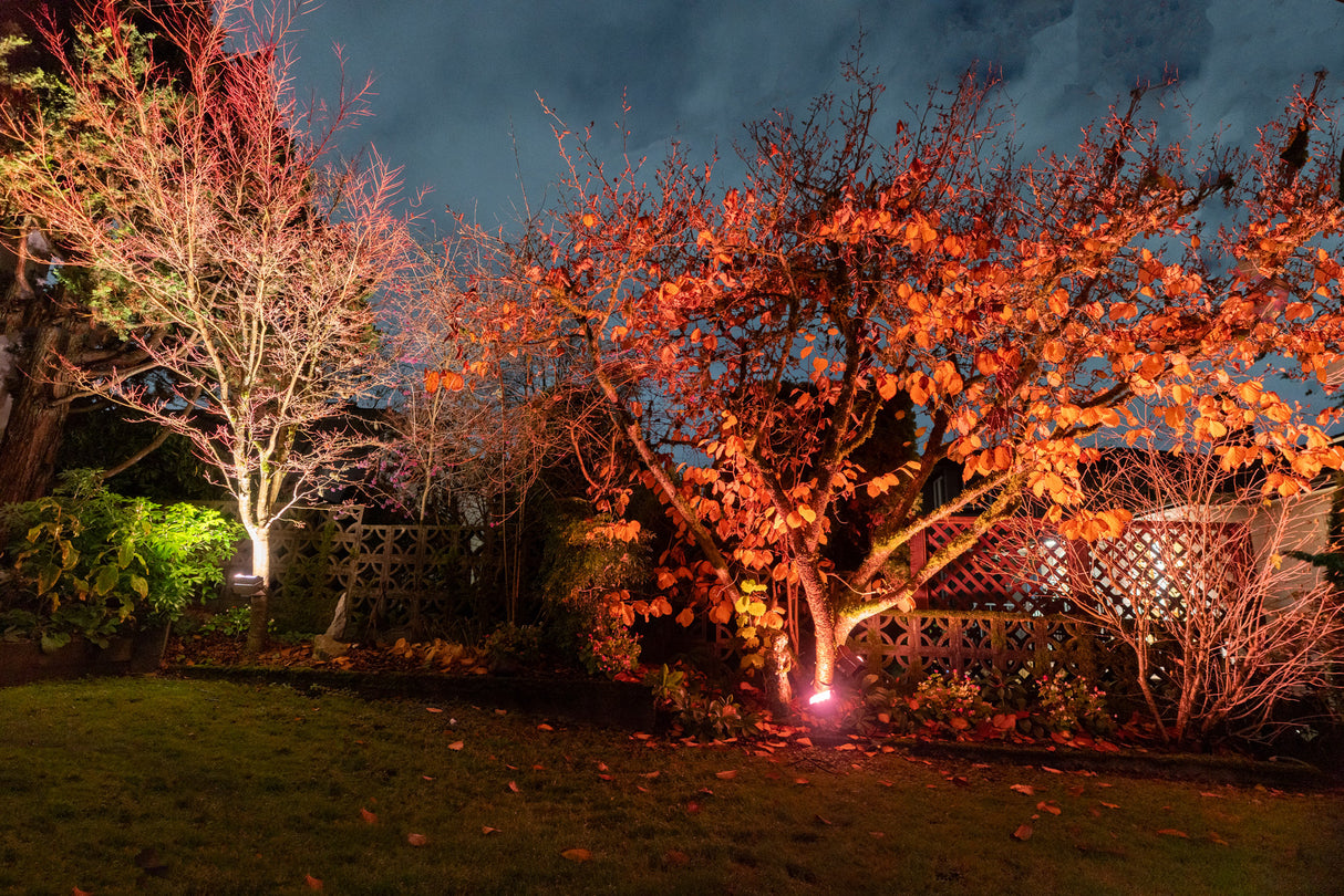 Chromaglow Pro RGBW Floodlight