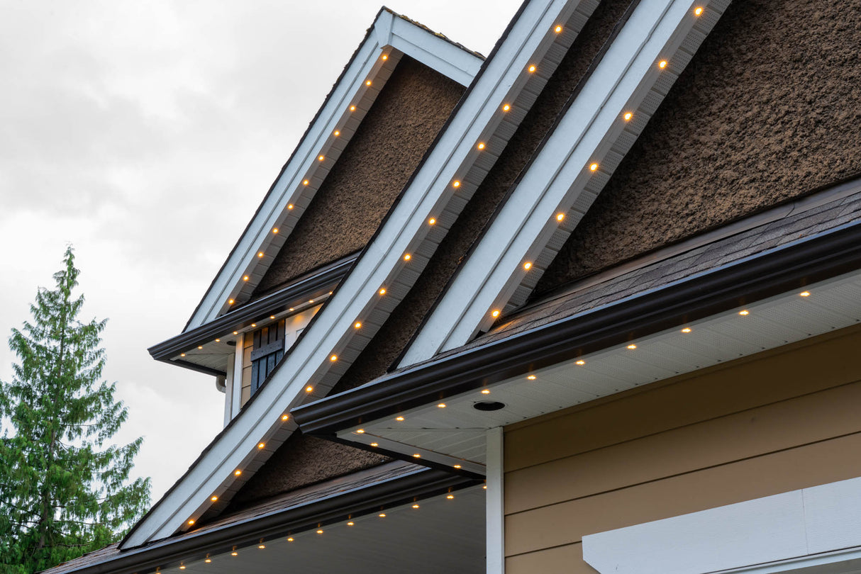 Chromaglow Pro Fascia Track