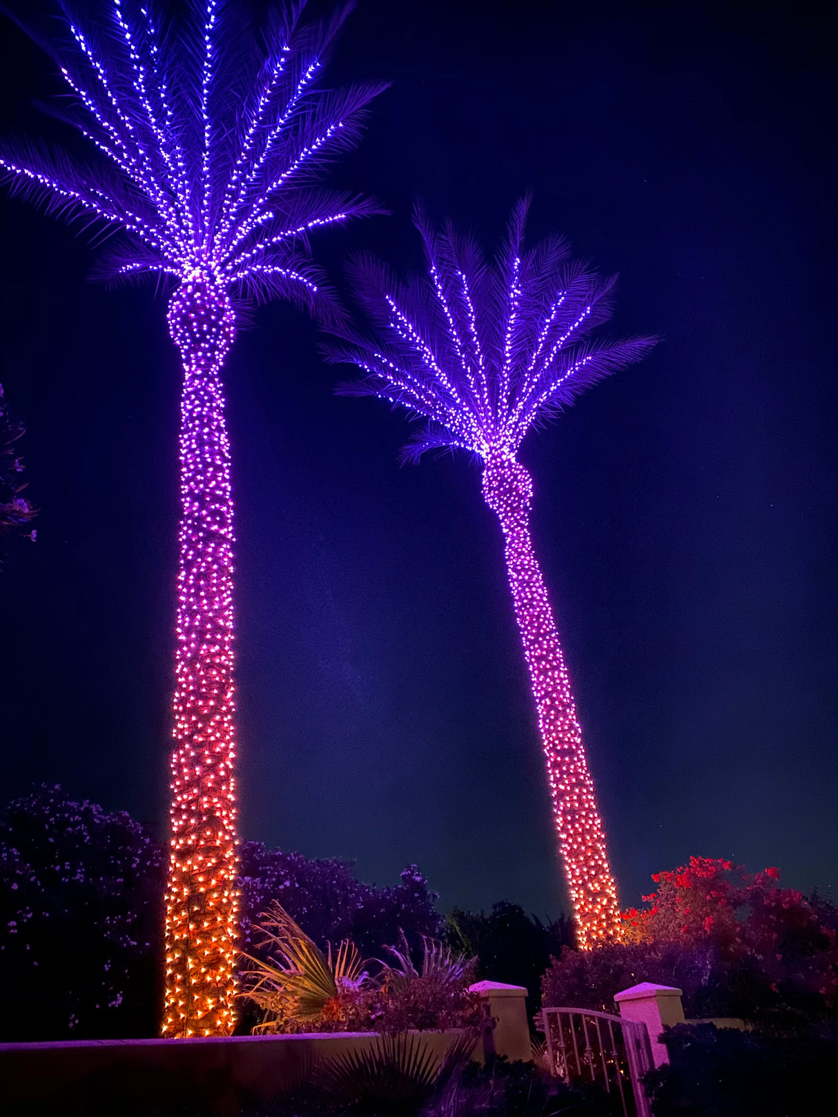 Twinkly PRO Dual Line String, 250 light, RGBW - Pre order