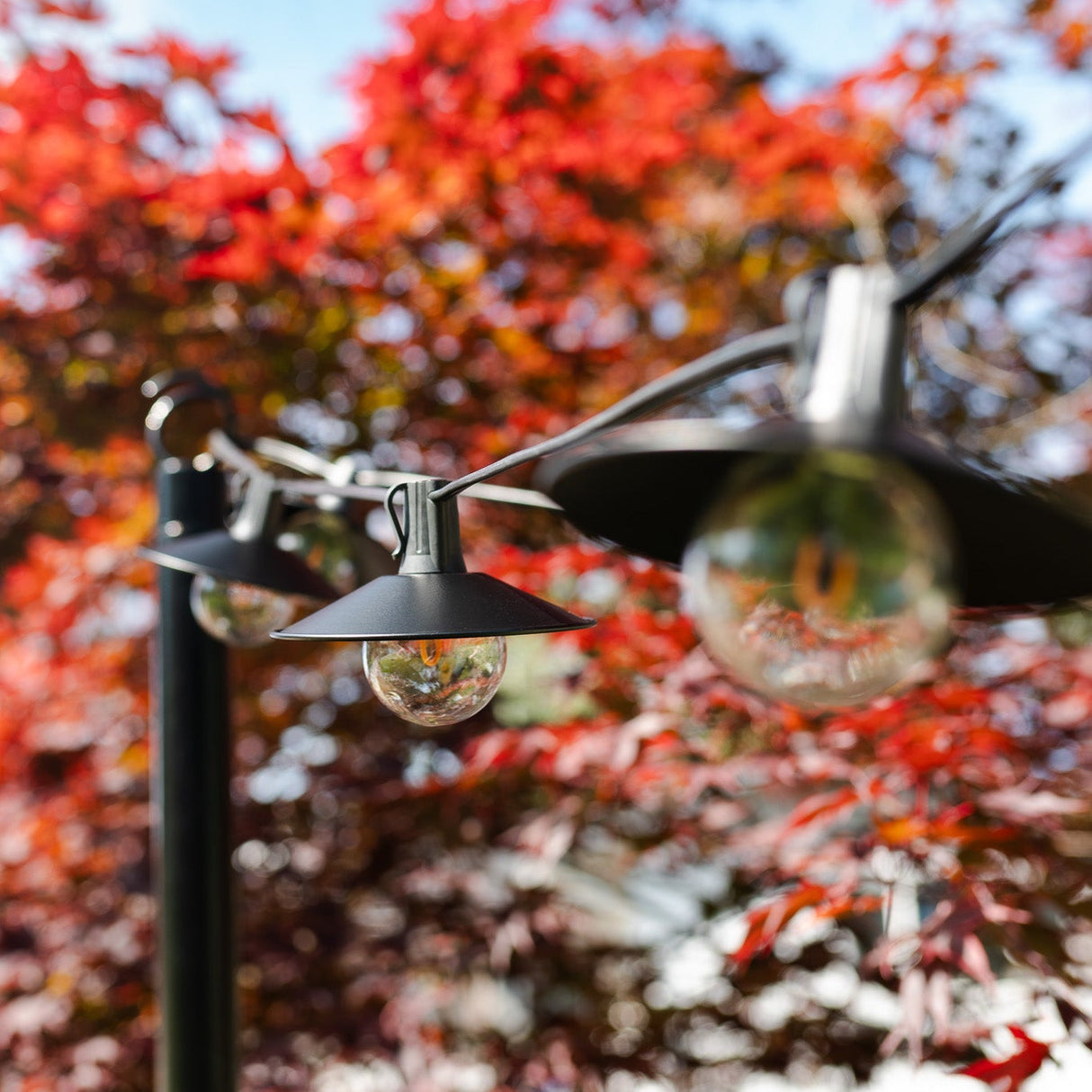 Patio Bundle (Black Wire + Shades)