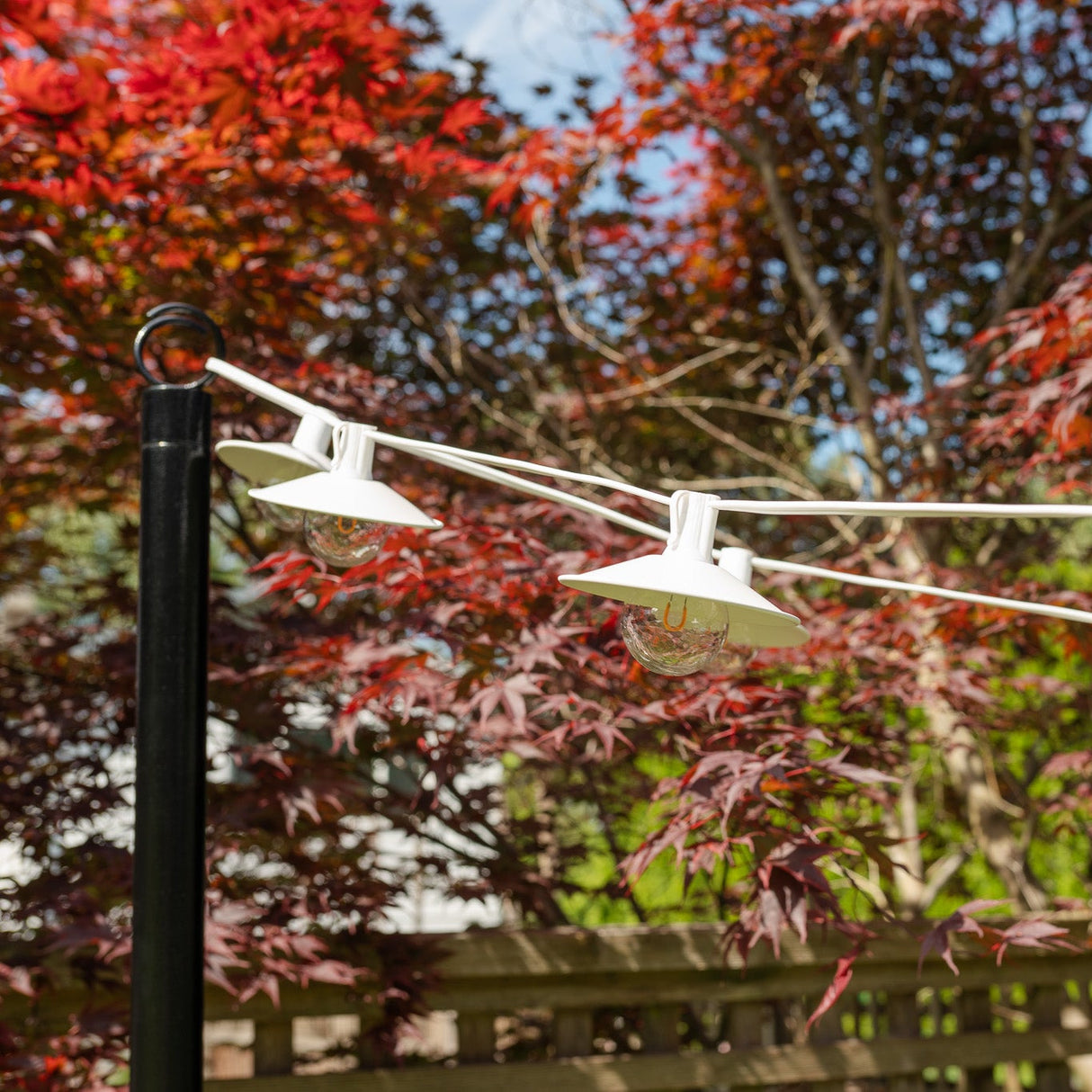Patio Bundle (White Wire + Shades)