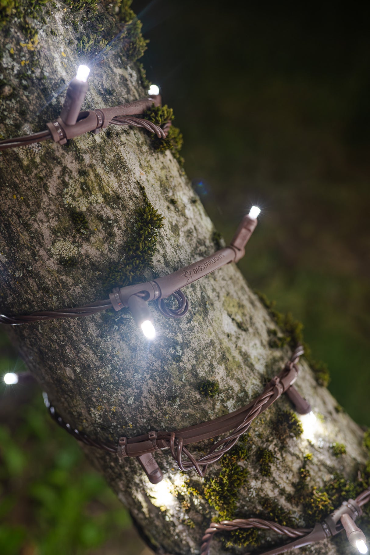 Steady Stretch String Mini Lights - Brown Wire (25 ft)