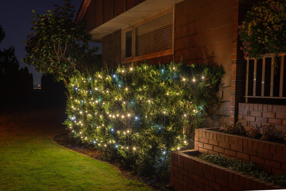 Themed Mini Lights - The European - Bulk