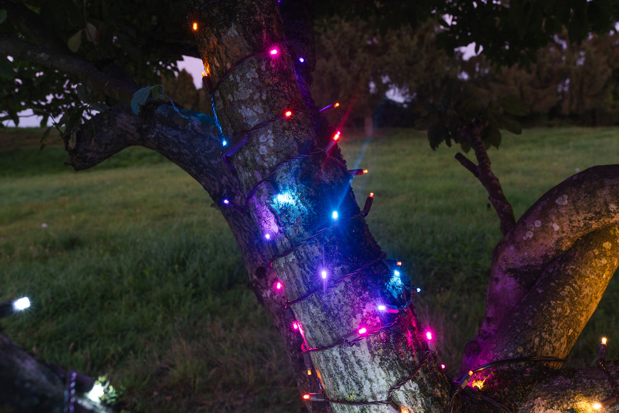 Themed Mini Lights - Diwali (25 ft)