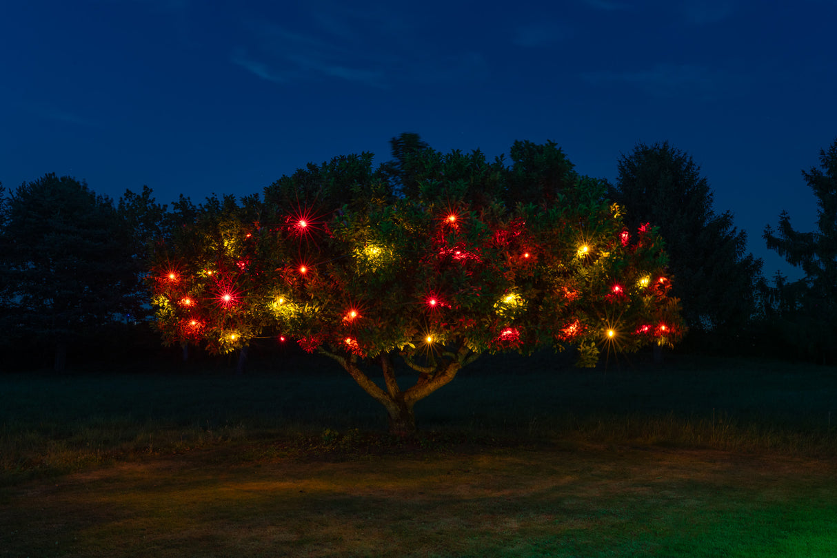 E17 Spool (500 ft) Pre-order