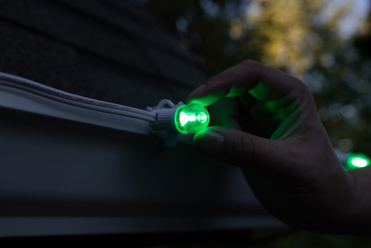 G20 Bulbs (Pack of 25)