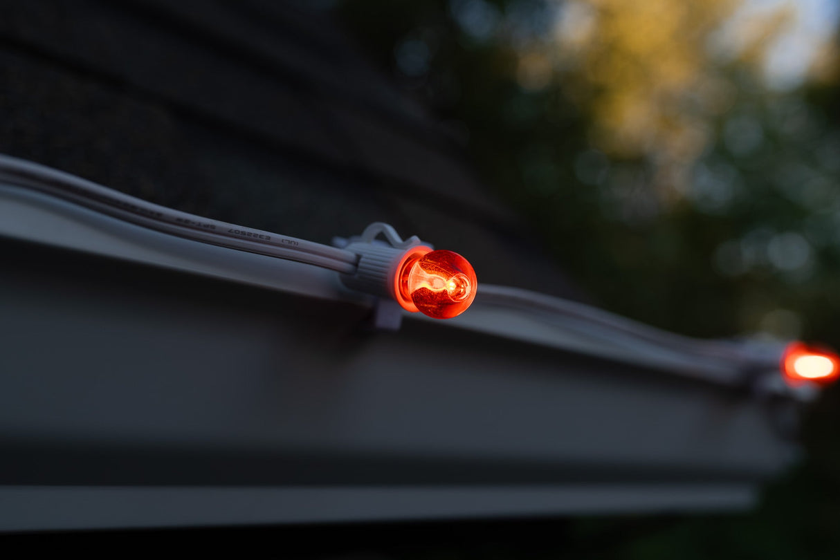 G20 Bulbs (Pack of 25) Bulk