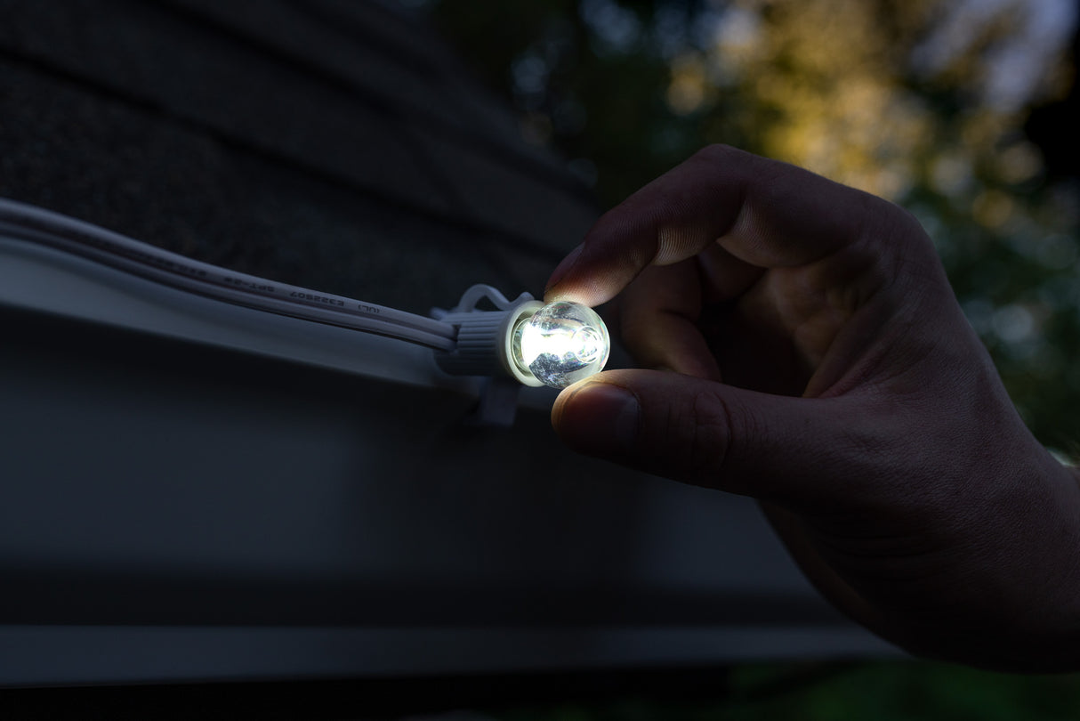 G20 Bulbs (Pack of 25)