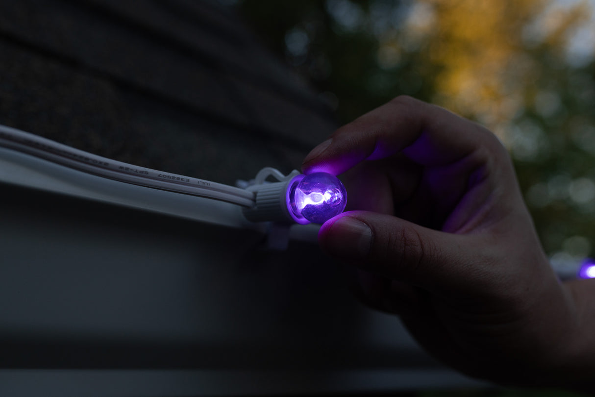 G20 Bulbs (Pack of 25)