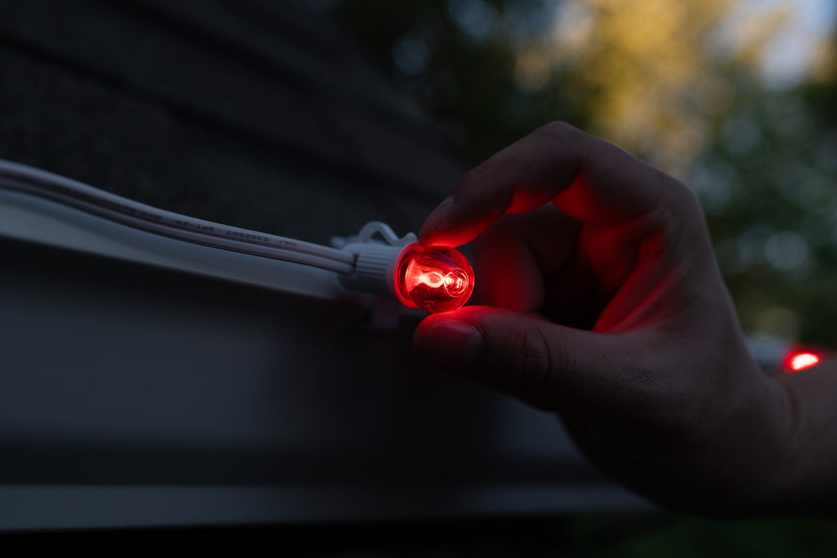 G20 Bulbs (Pack of 25)