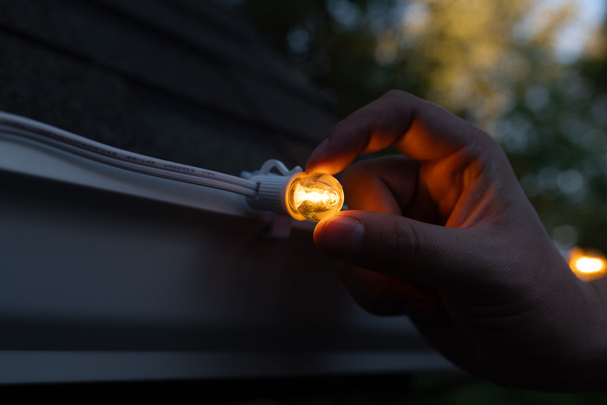 G20 Bulbs (Pack of 25)