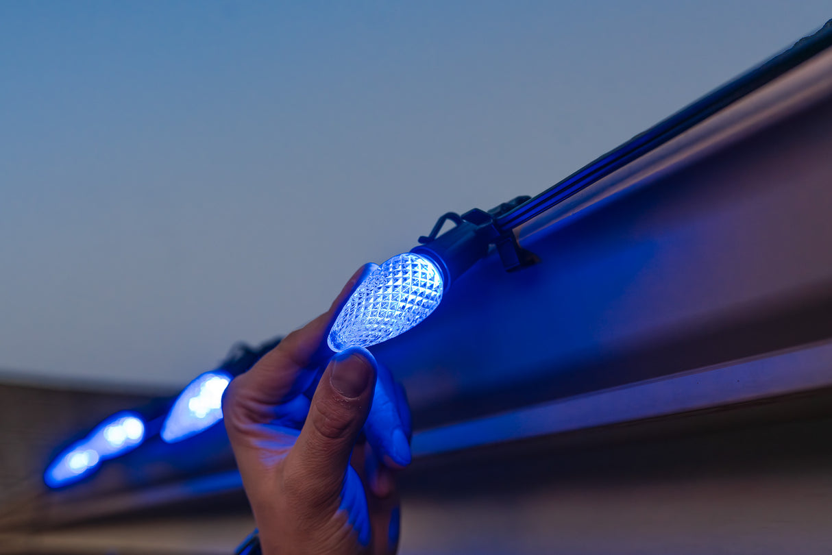 C9 Bulbs (Pallet of 24,000)