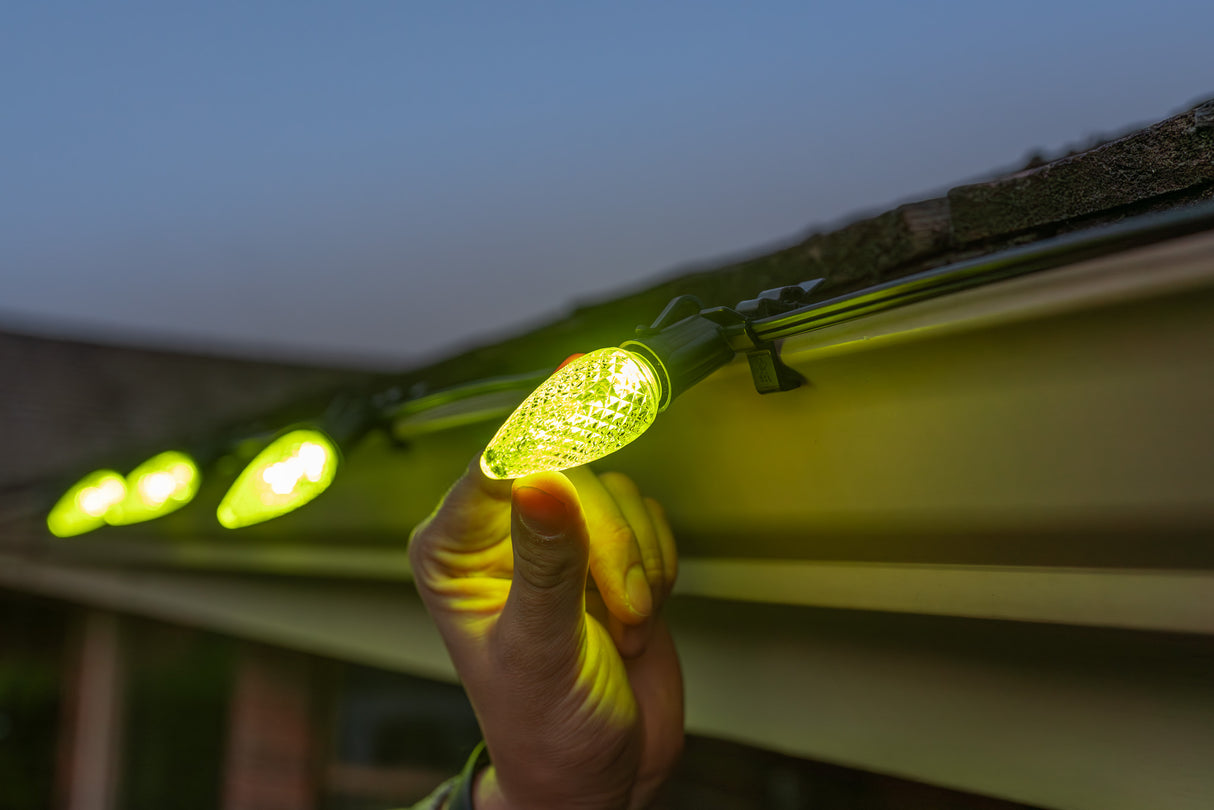 C9 Bulbs (Pallet of 24,000)