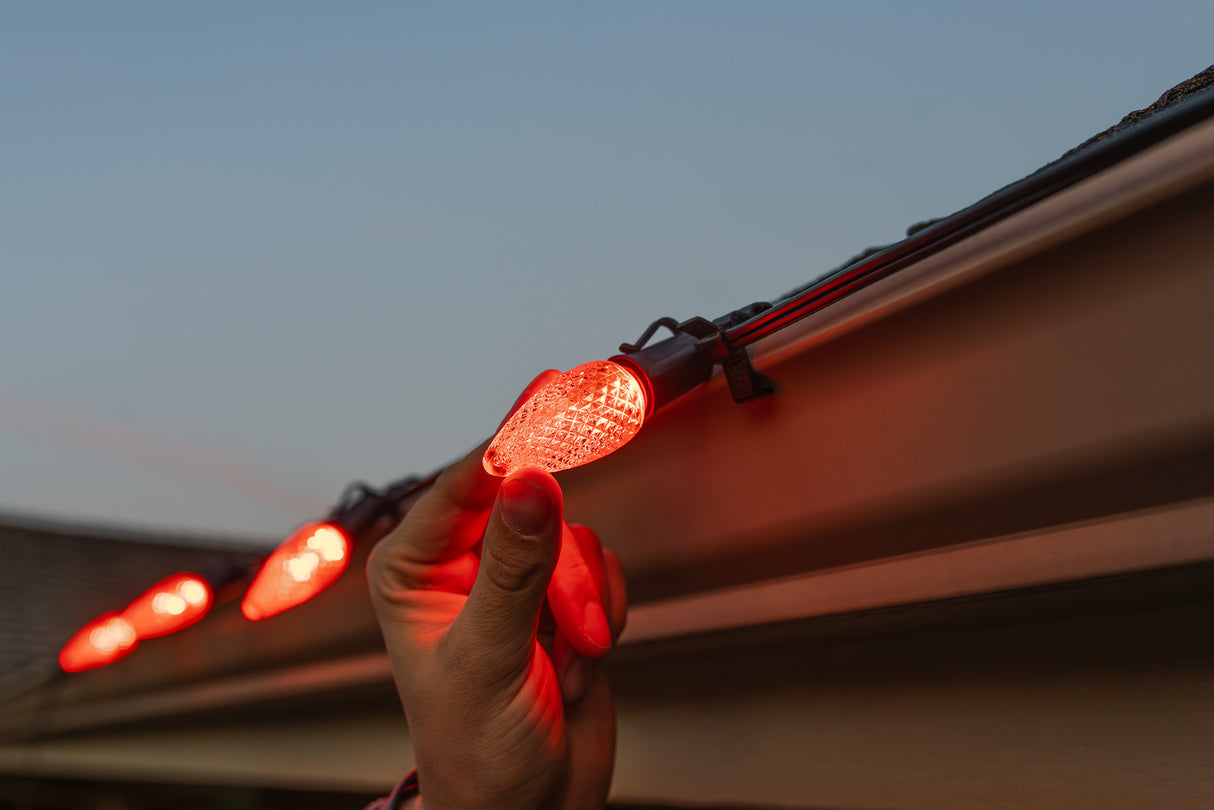 C9 Bulbs (Pallet of 24,000)