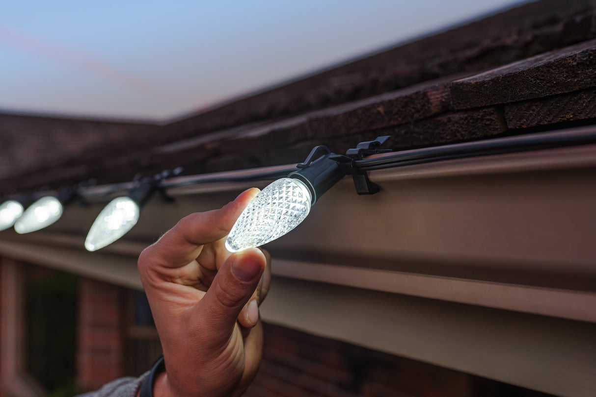 C9 Bulbs (Pallet of 24,000)