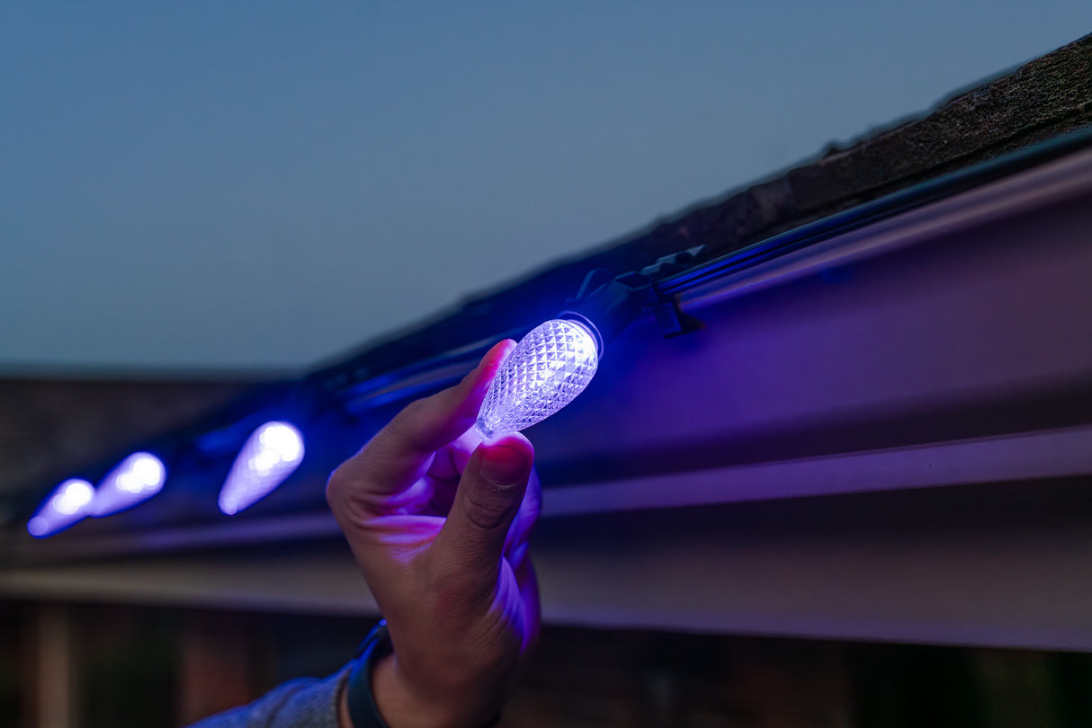 C9 Bulbs (Pallet of 24,000)