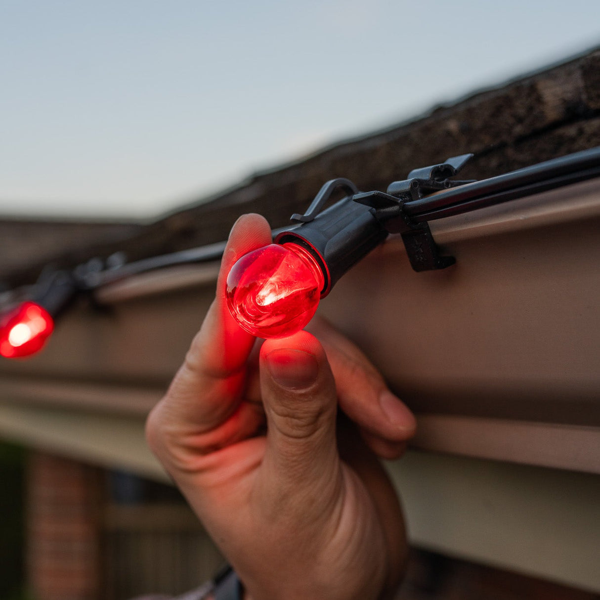 G30 Bulbs (Pallet of 38,500)