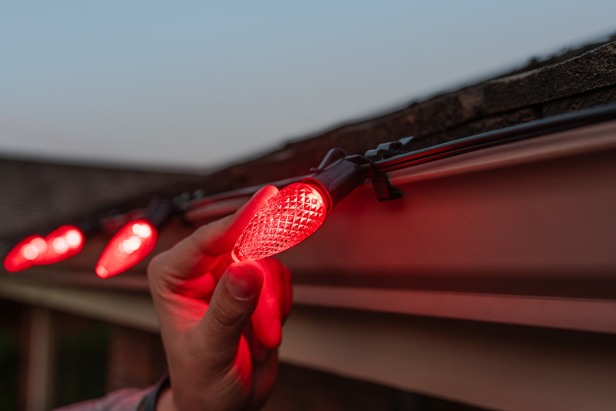 C9 Bulbs (Pallet of 24,000)