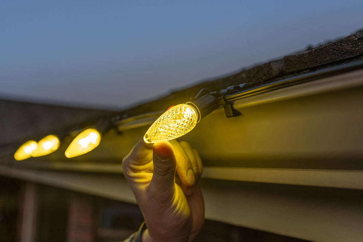 C9 Bulbs (Pallet of 24,000)