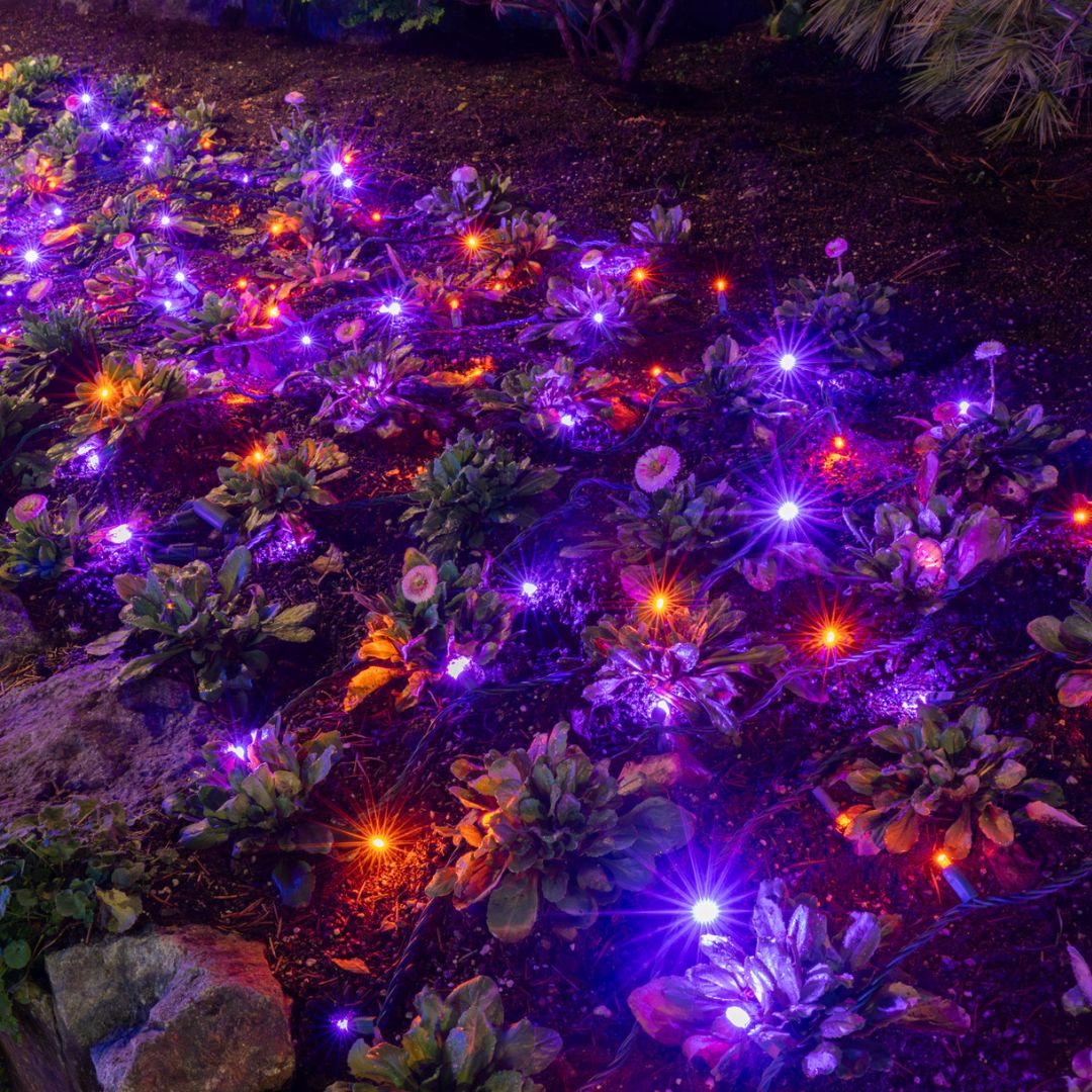 Themed Mini Lights - The Goblin (25 ft)