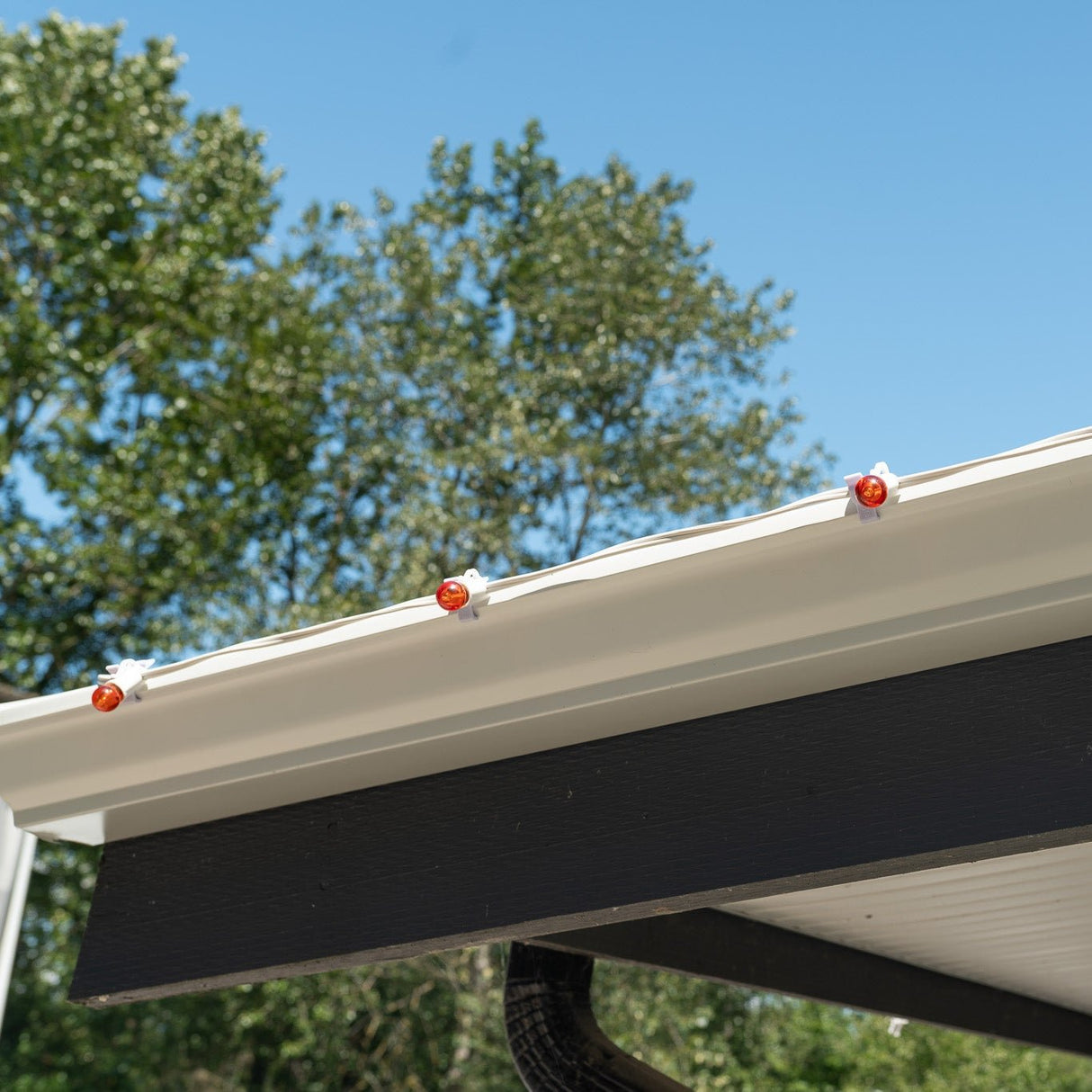 Multi Clip (Pack of 100)