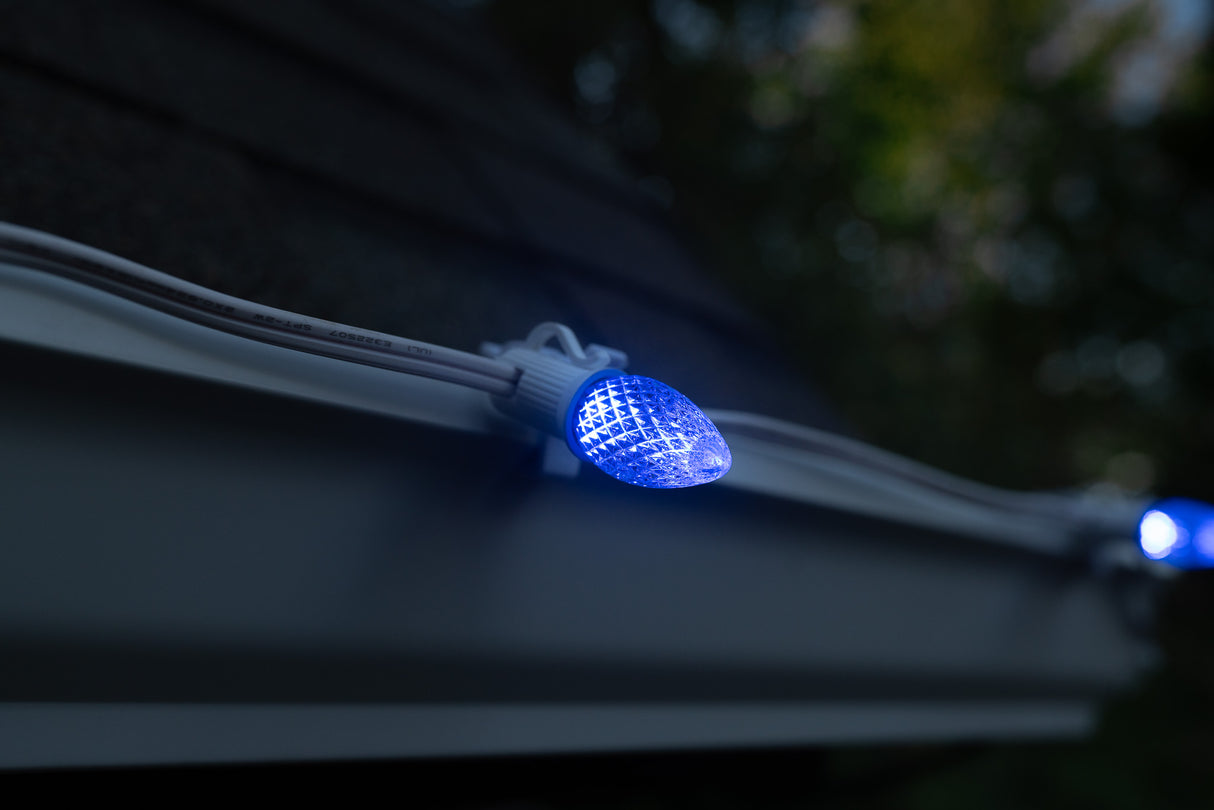 C7 Bulbs (Pallet of 48,000)