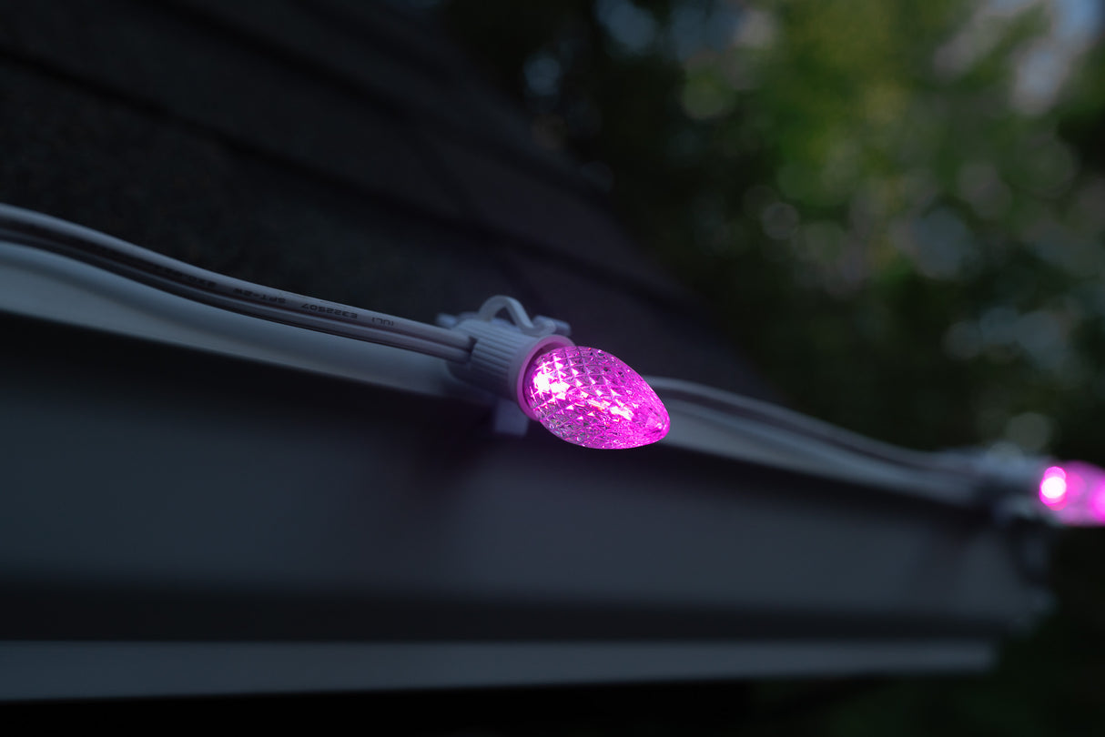 C7 Bulbs (Pallet of 48,000)