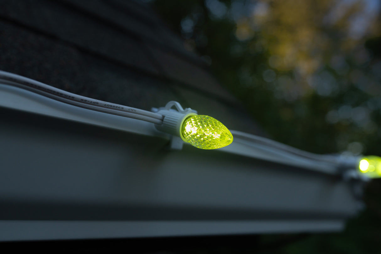 C7 Bulbs (Pallet of 48,000)