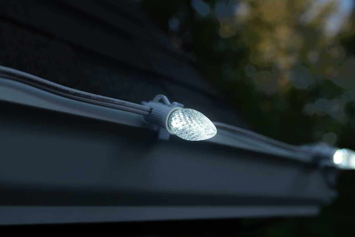 C7 Bulbs (Pallet of 48,000)