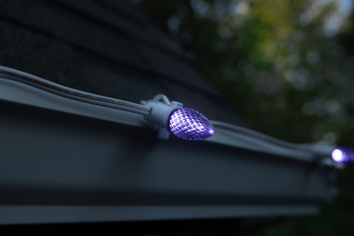 C7 Bulbs (Pallet of 48,000)