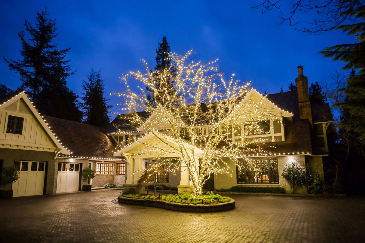 Pro Starter Bundle (C9 Bulbs + Coaxial Plug Mini Lights)