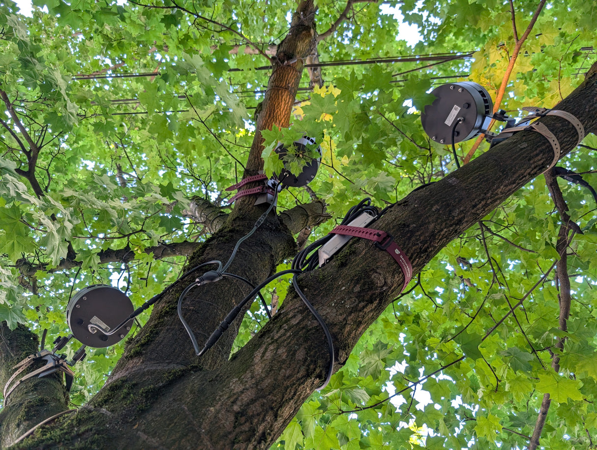 Loop Utility Strap - Bulk