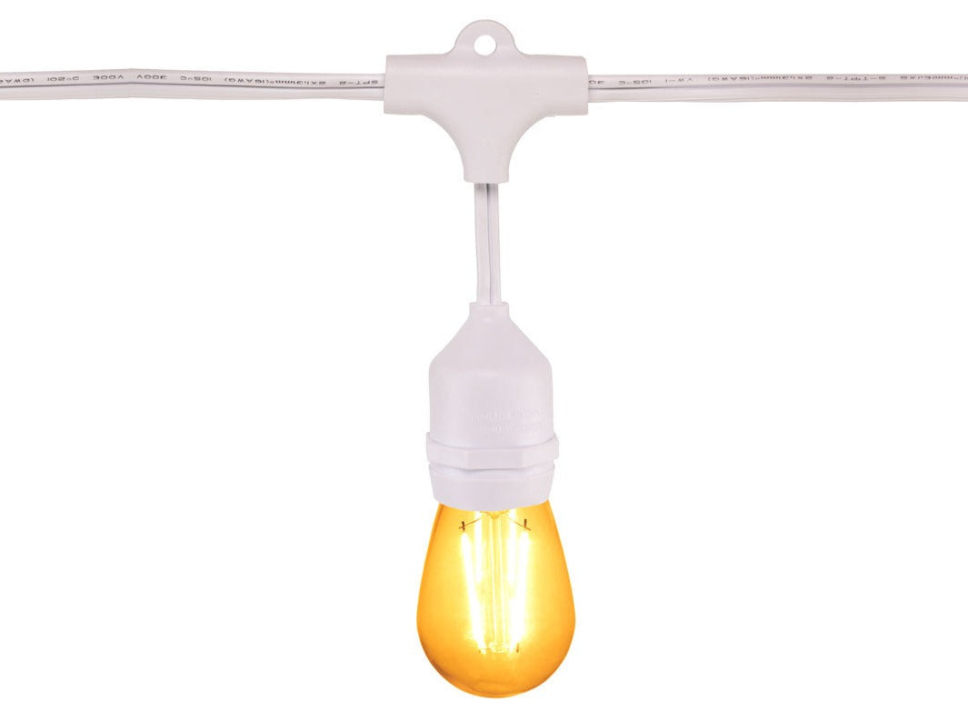 100ft Festive Backyard Bundle - S14 Bulbs