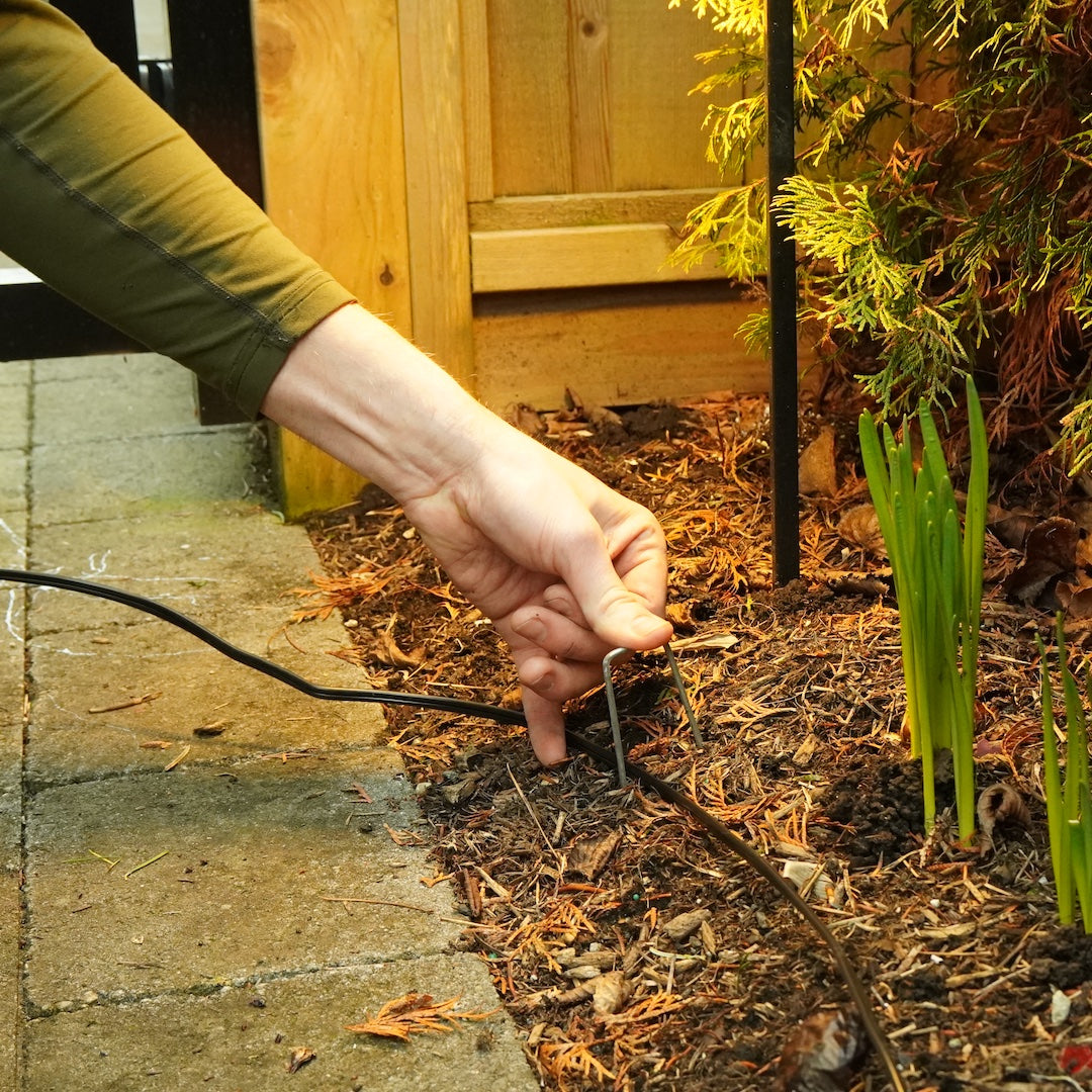 Lawn Staples (100 pk)