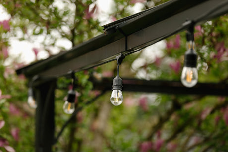 Unlit G30 bulbs on black wire