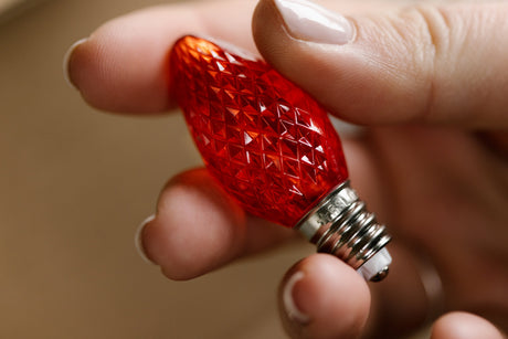 How to Add Christmas Light Installation to Your Painting Business