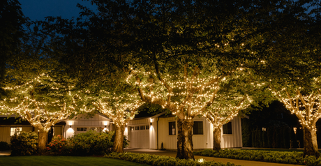 Warm white mini lights canopy wrap