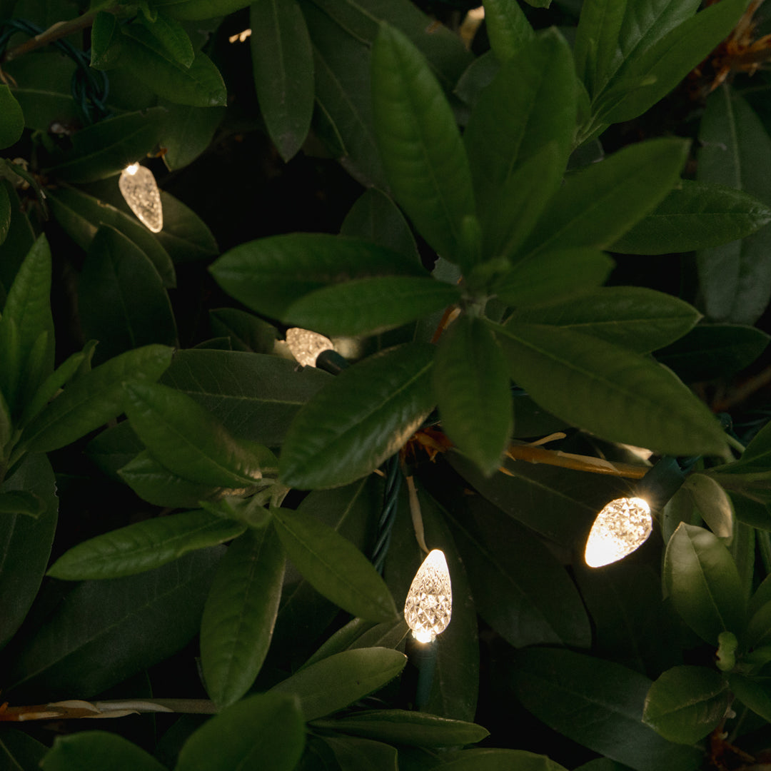 How to Add Christmas Light Installation to Your Pressure Washing Business