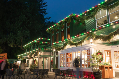 Red, green, and white Christmas lights with garland display 