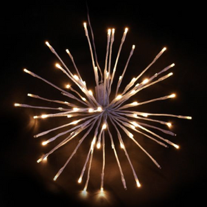 RGBWW Seasonal Lights