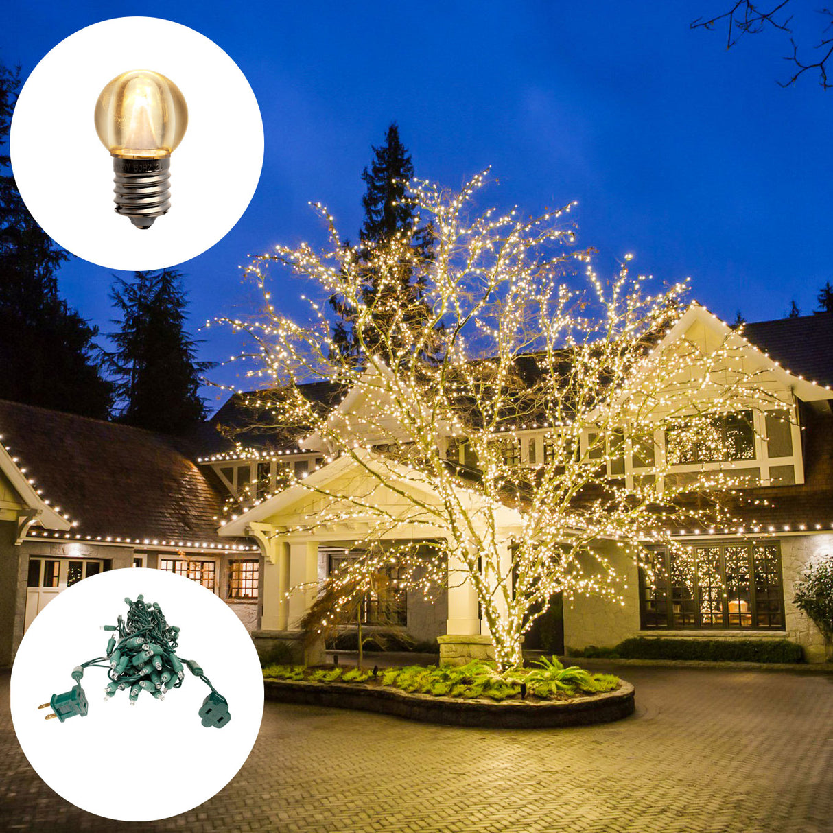 Pro Starter Bundle (G30 Bulbs + Standard Plug Mini Lights)