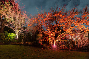 Chromaglow Pro RGBW Floodlight with Strap