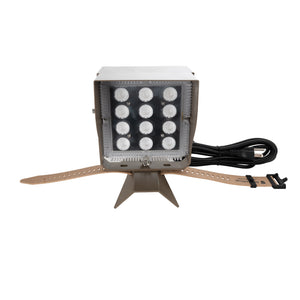 Chromaglow Pro RGBW Floodlight with Strap