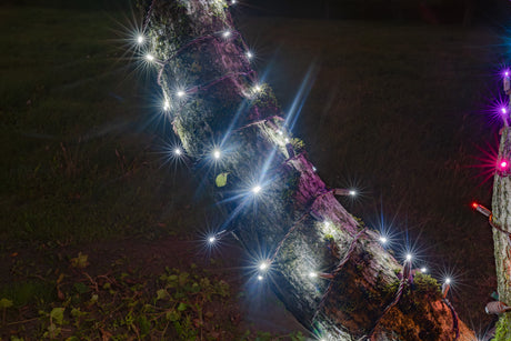 Steady Mini Lights - Brown Wire (23 ft) - Bulk