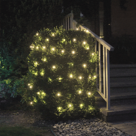 Twinkle Mini Lights - Green Wire (25 ft)