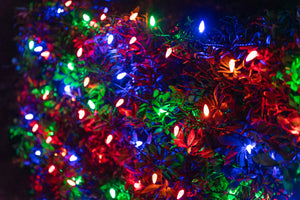 Themed C6 String Lights - Multi Color